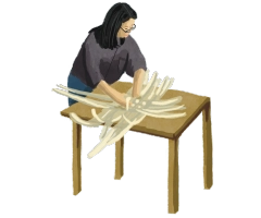 月桃戲